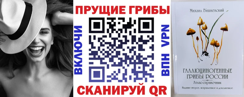 магазин продажи наркотиков  Полесск  Галлюциногенные грибы мухоморы 