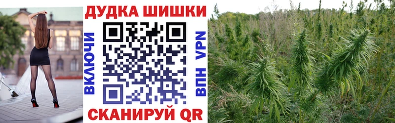 Шишки марихуана SATIVA & INDICA  Полесск 